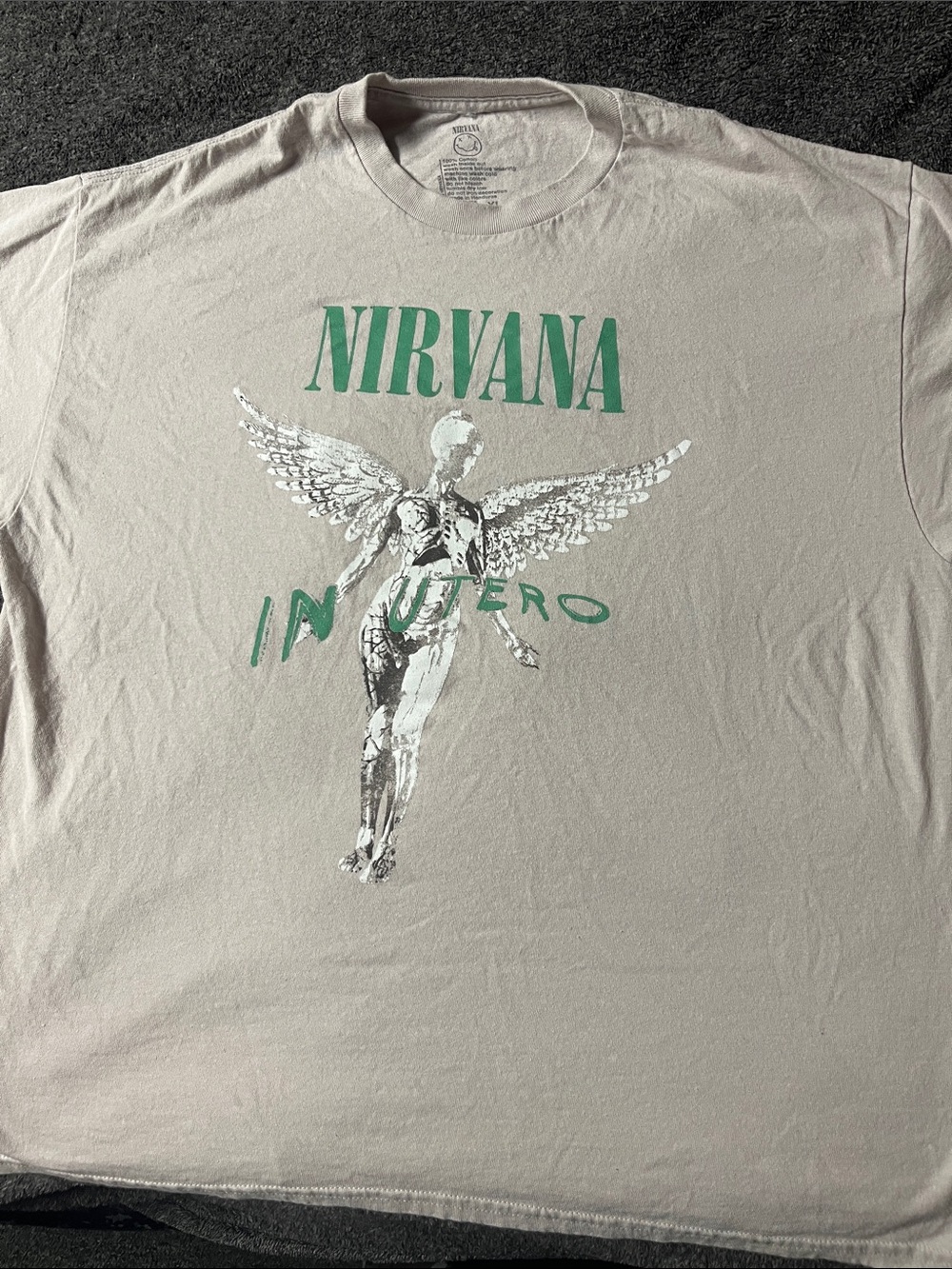 NIRVANA Short Sleeve Tee Gray w/ Green Graphic